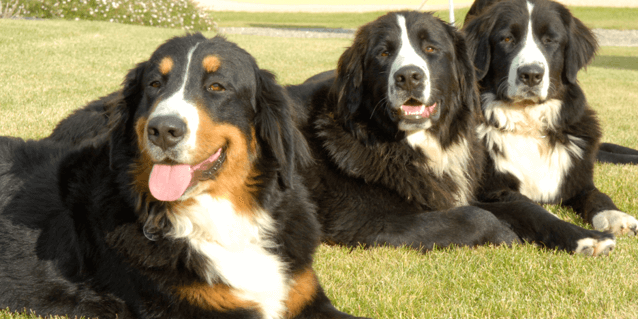 67_Fondation Gaillanne