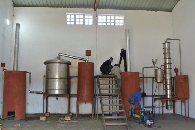 71_ITD Monde 71_ITD Monde