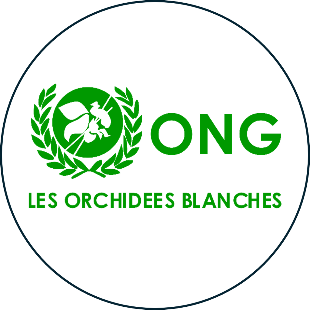 Le Centre Médicoéducatif des Orchidées Blanches d’Antananarivo accueille une centaine de personnes en situation de handicap intellectuel et leur propose des formations professionnelles adaptées, des ateliers d’artisanat, ainsi que des programmes d’intégration sociale. Notre Fonds de dotation finance l’installation de panneaux solaires.