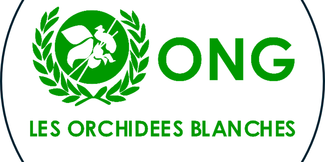 logo site